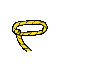 Cowboy lasso capture animation special ability