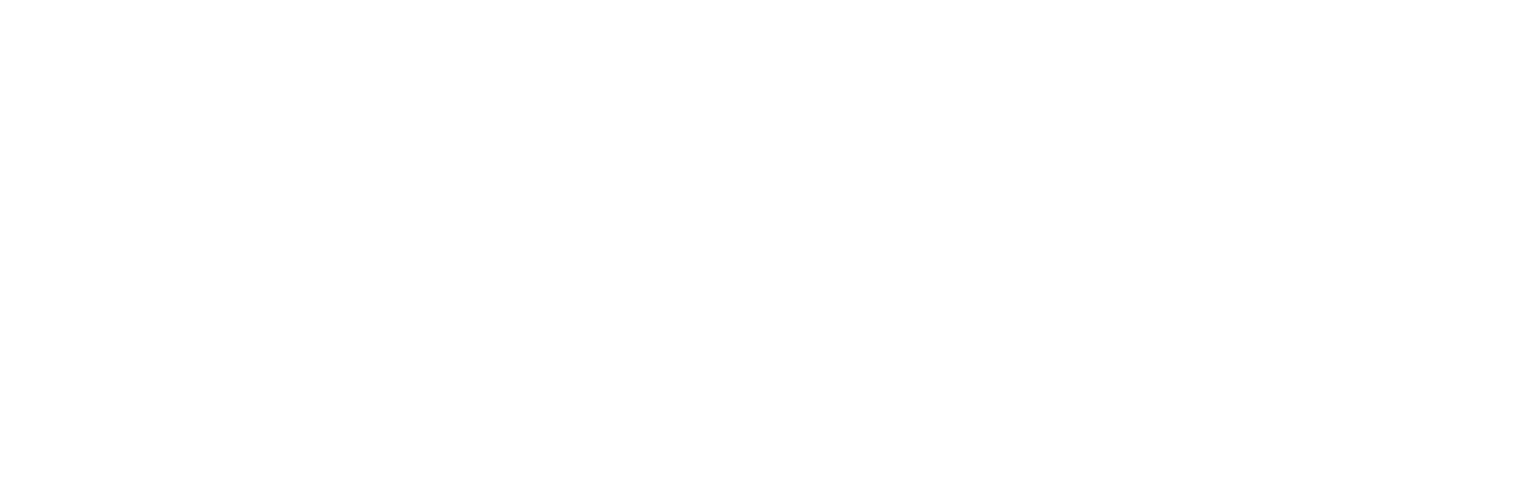 Gunslinger's Revenge